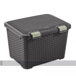 Curver Laatikko+Kansi Style