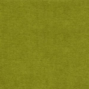 Isku Flex Lepotuoli Puukäsinojin Lime