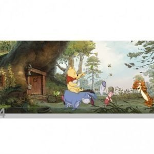 Og Kuvatapetti 368x127 Cm